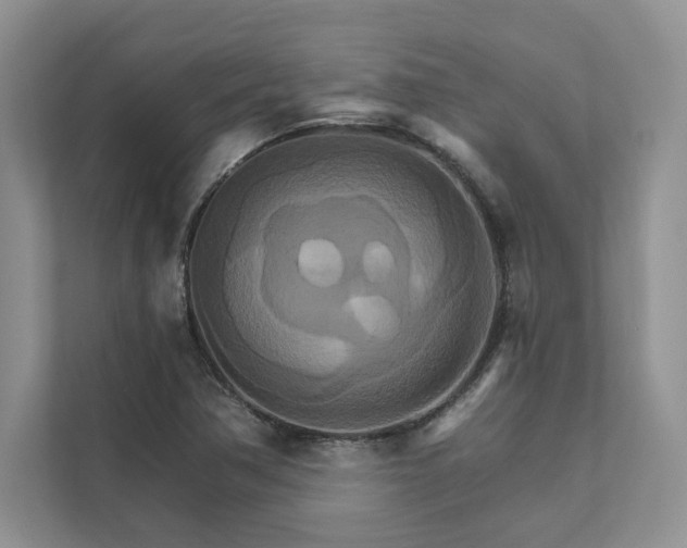 X0000111511362200907211154