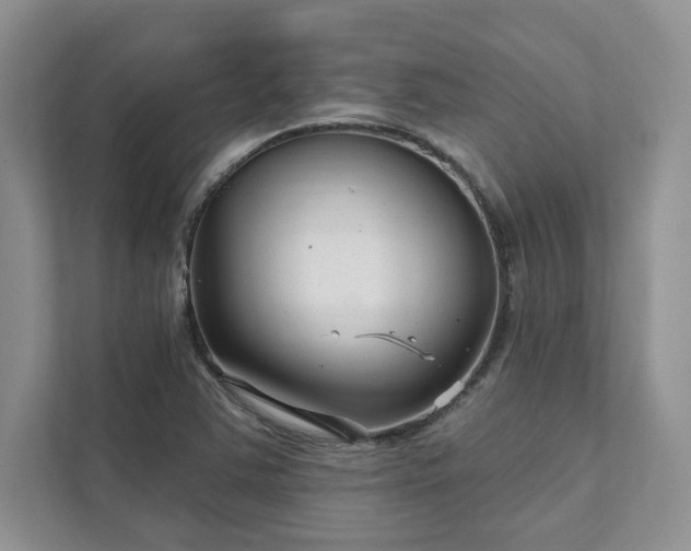 X0000111511363200907211154
