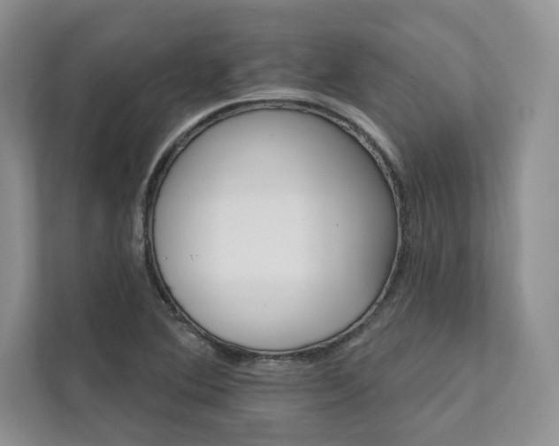 X0000111511364200907211154