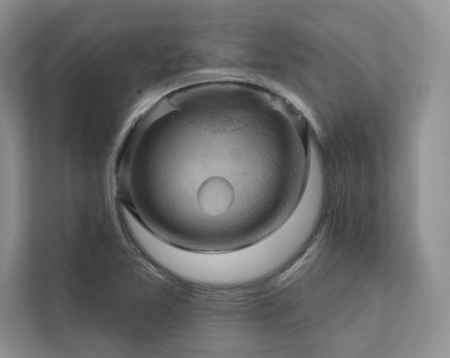 X0000111511365200907211154