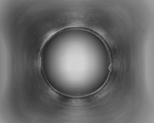 X0000111511366200907211154