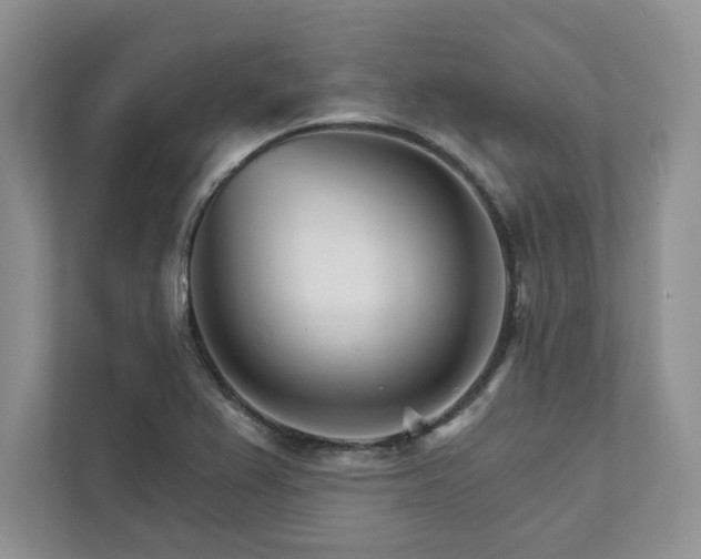 X0000111511367200907211154
