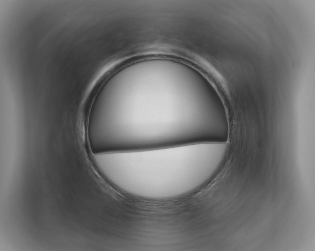 X0000111511368200907211154