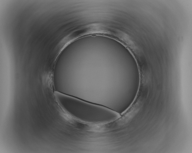X0000111511369200907211154
