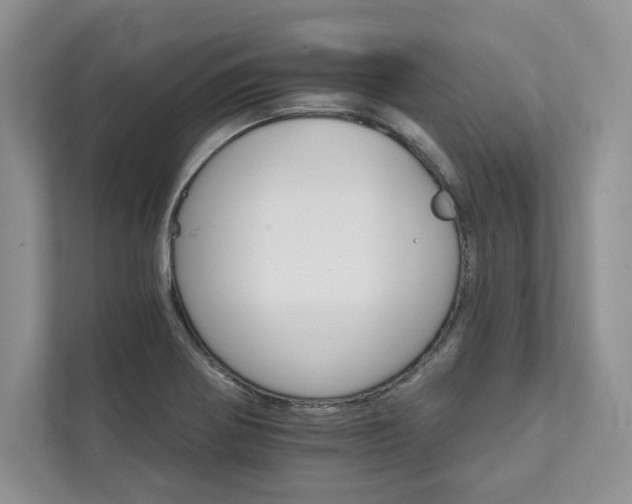 X0000111511370200907211154