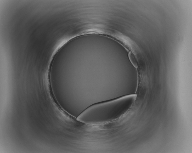 X0000111511373200907211154