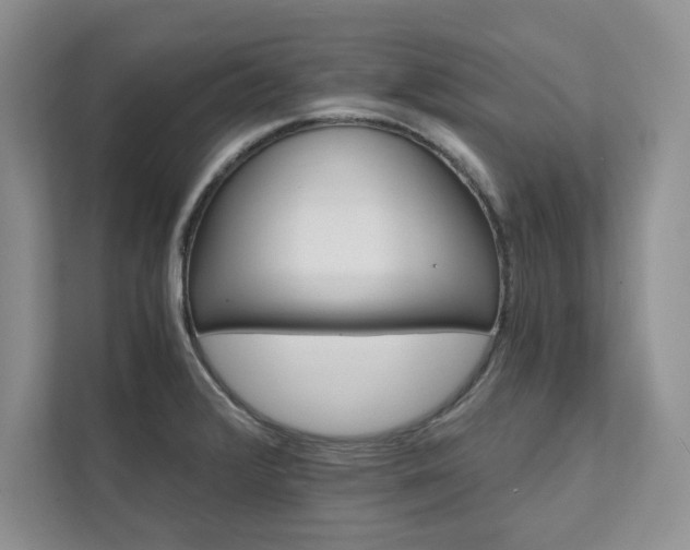 X0000111511376200907211154