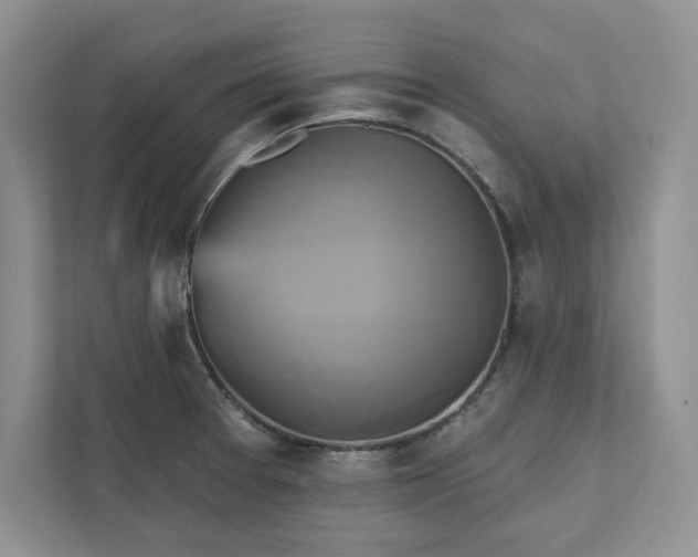 X0000111511377200907211154