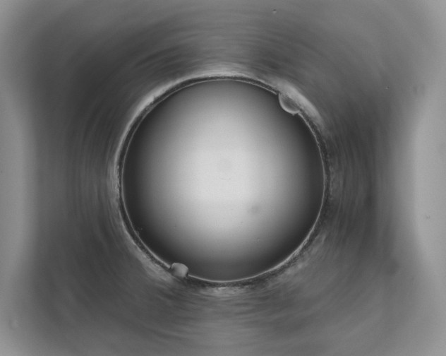 X0000111511380200907211154