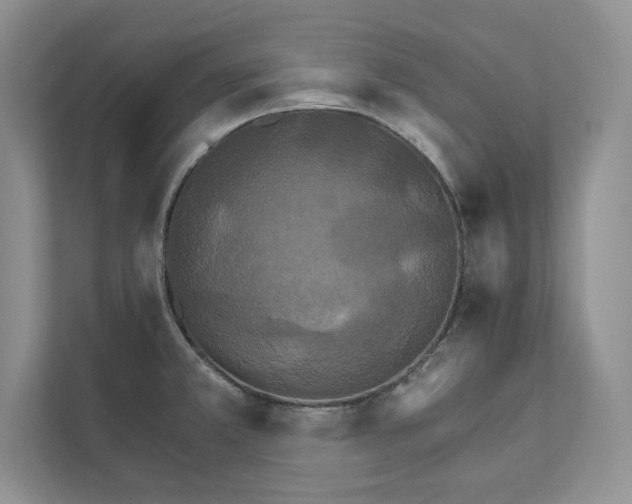 X0000111511381200907211154