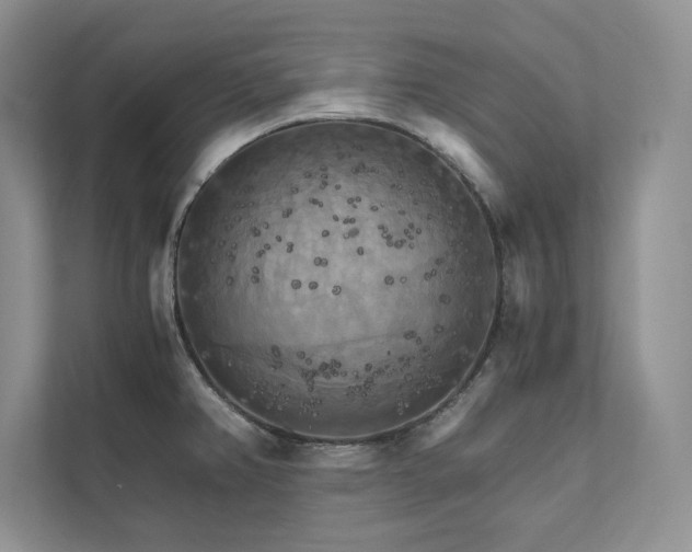 X0000111511382200907211154