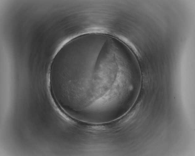 X0000111511383200907211154