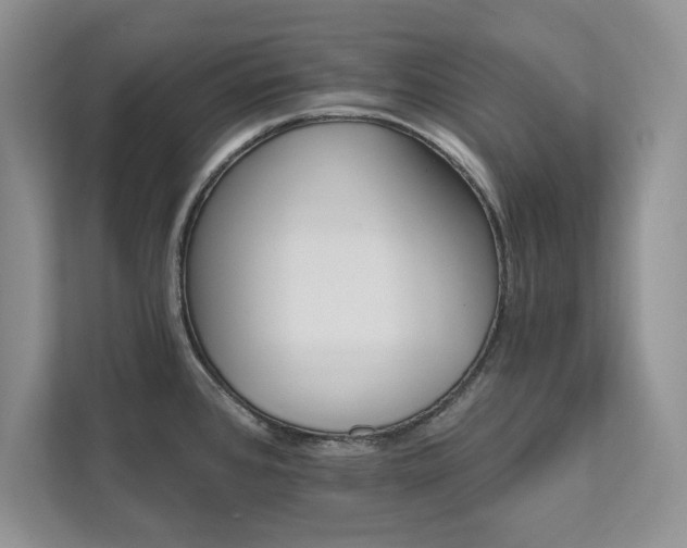 X0000111511384200907211154