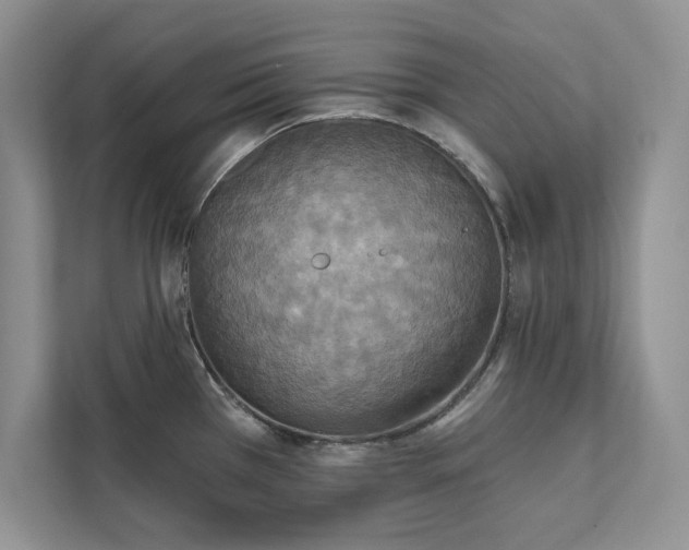 X0000111511385200907211154