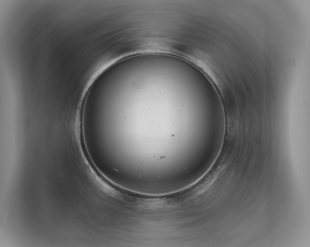X0000111511387200907211154