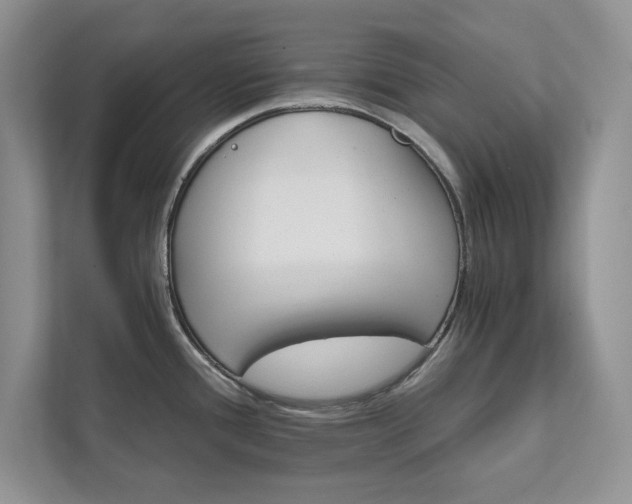 X0000111511388200907211154