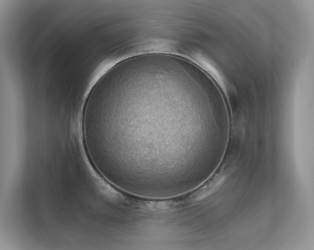 X0000111511389200907211154