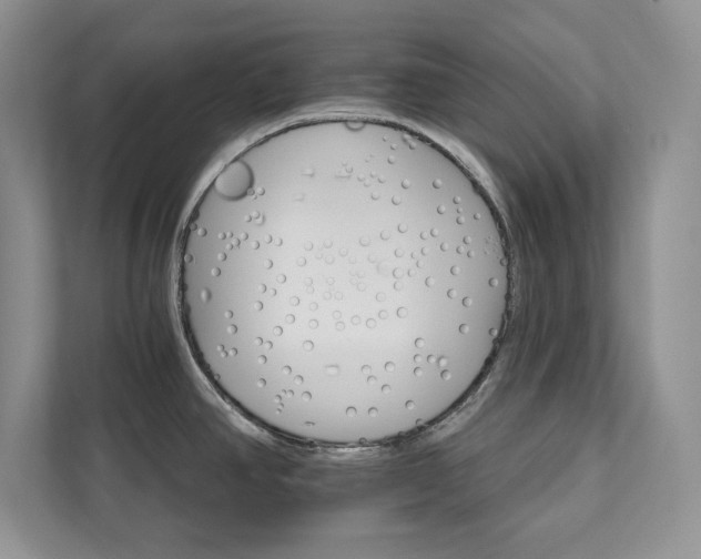 X0000111511390200907211154