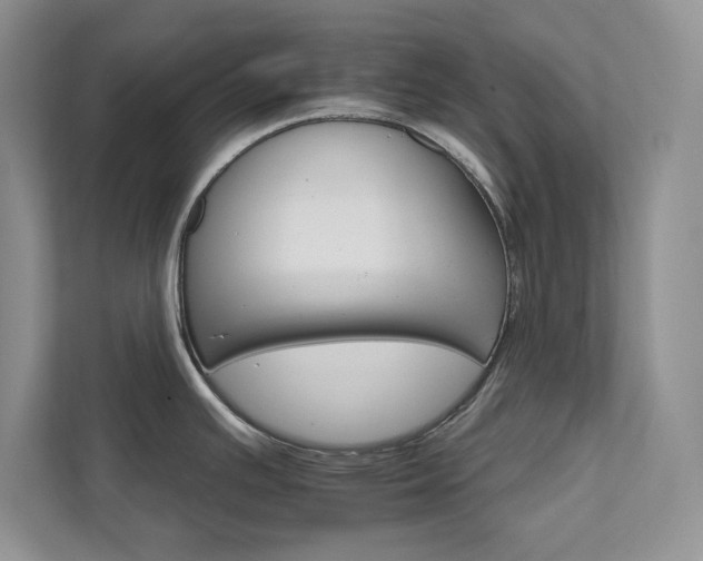 X0000111511391200907211154