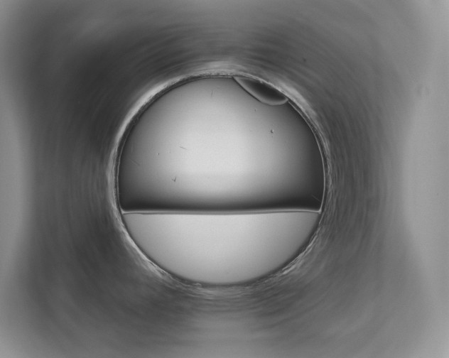 X0000111511392200907211154