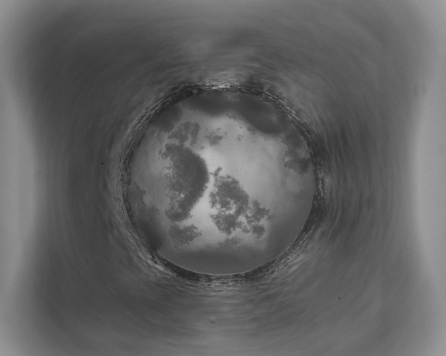 X0000111511393200907211153