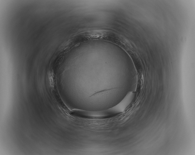 X0000111511394200907211153