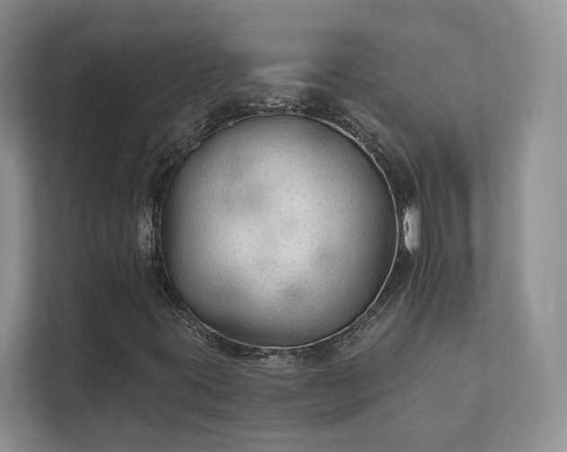X0000111511395200907211153
