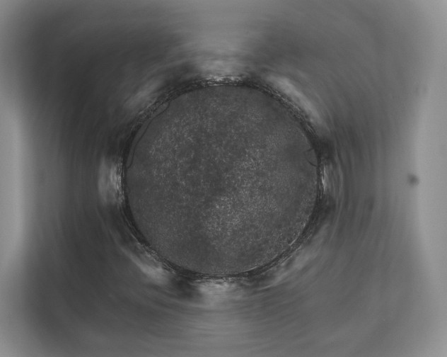 X0000111511396200907211153
