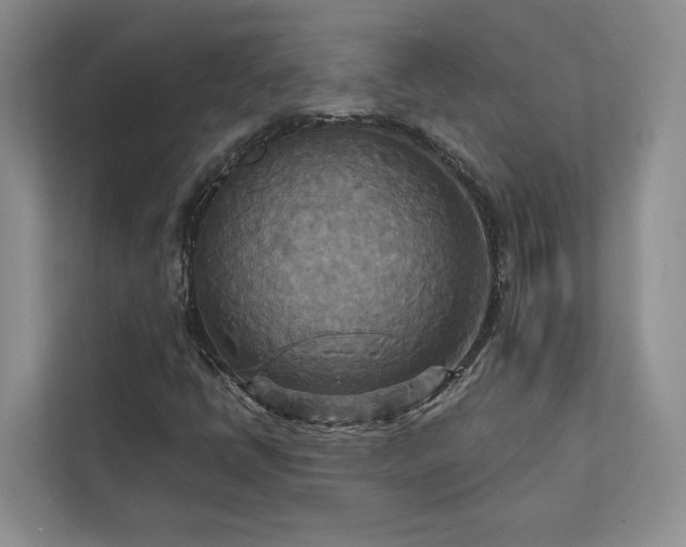 X0000111511398200907211153