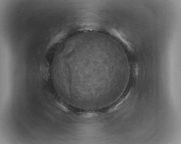 X0000111511399200907211153