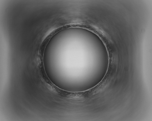 X0000111511400200907211153