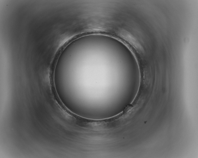 X0000111511404200907211154