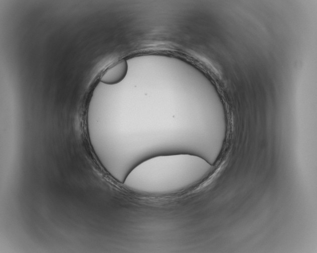 X0000111511405200907211154