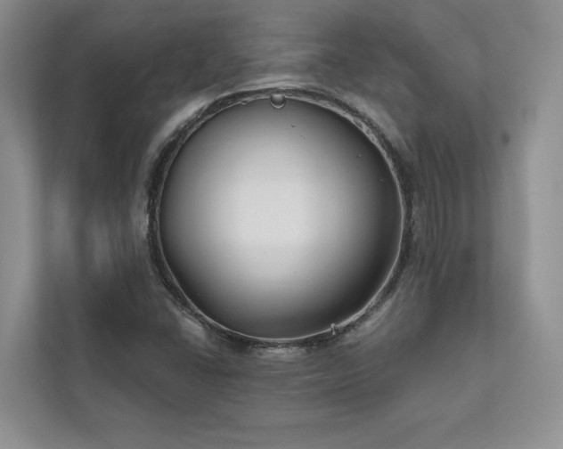 X0000111511406200907211154