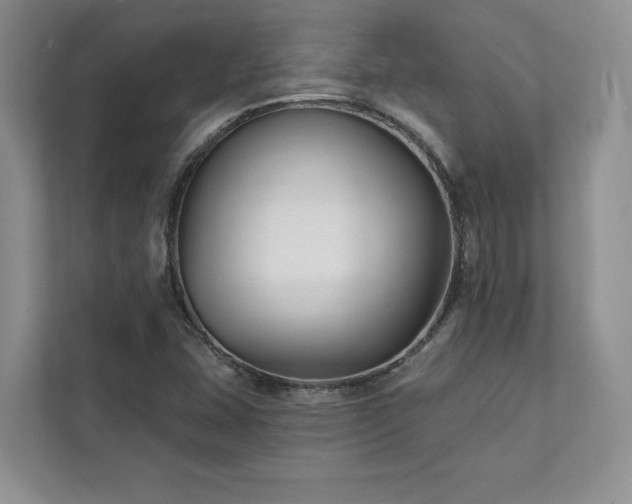 X0000111511407200907211154
