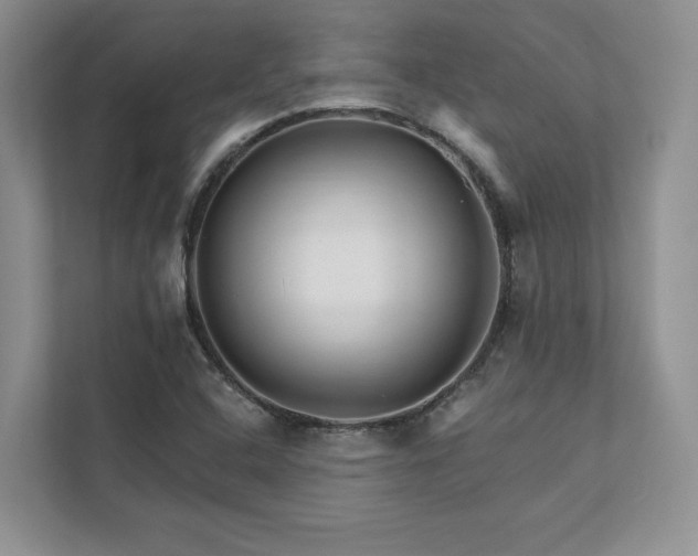 X0000111511408200907211154