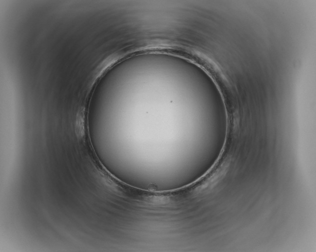 X0000111511409200907211154