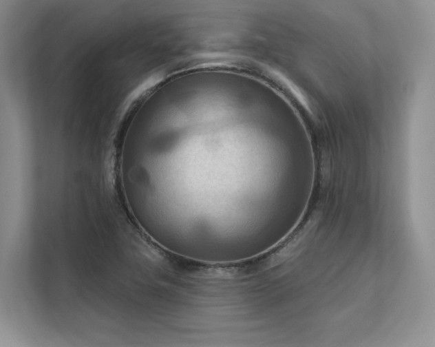 X0000111511411200907211154