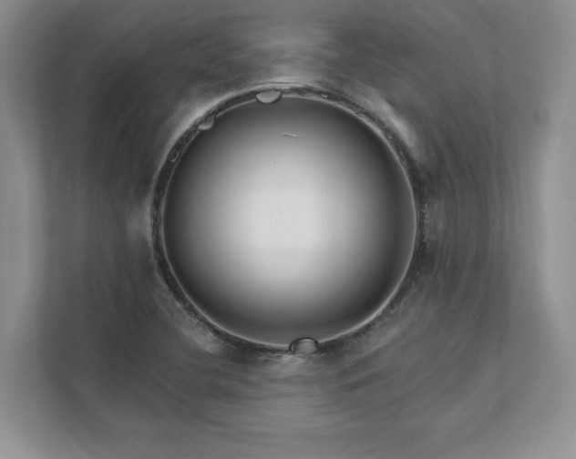 X0000111511412200907211154
