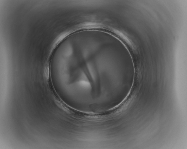 X0000111511413200907211154