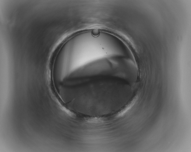 X0000111511414200907211154