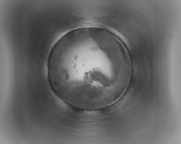 X0000111511415200907211154