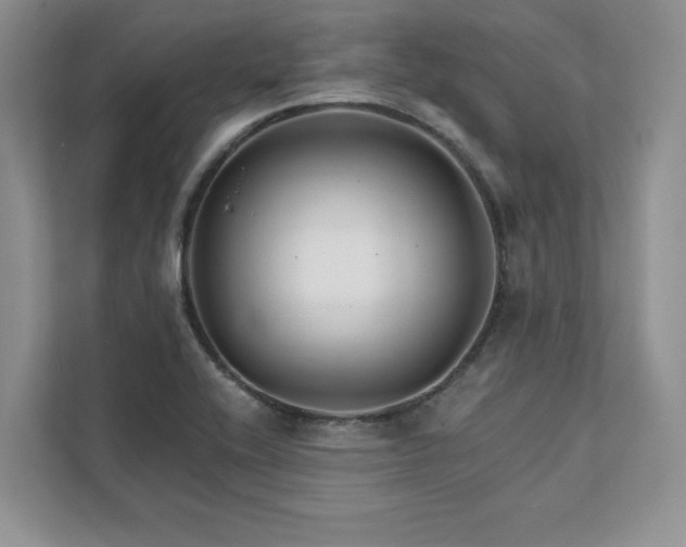 X0000111511416200907211154