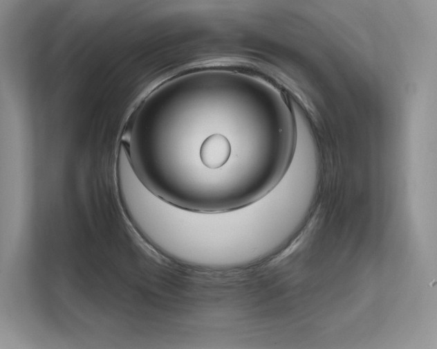 X0000111511417200907211154