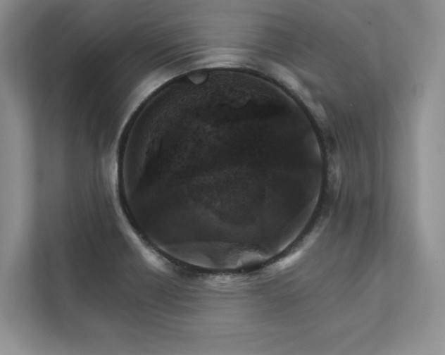 X0000111511418200907211154