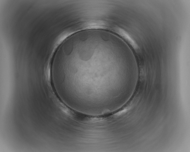 X0000111511419200907211154