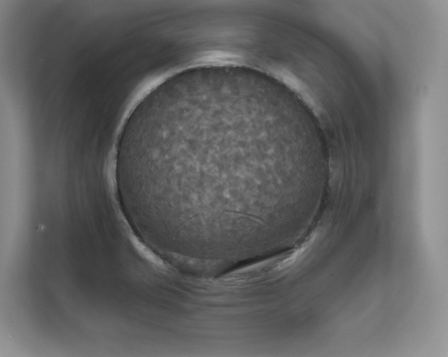 X0000111511421200907211154