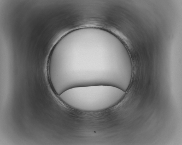 X0000111511423200907211154