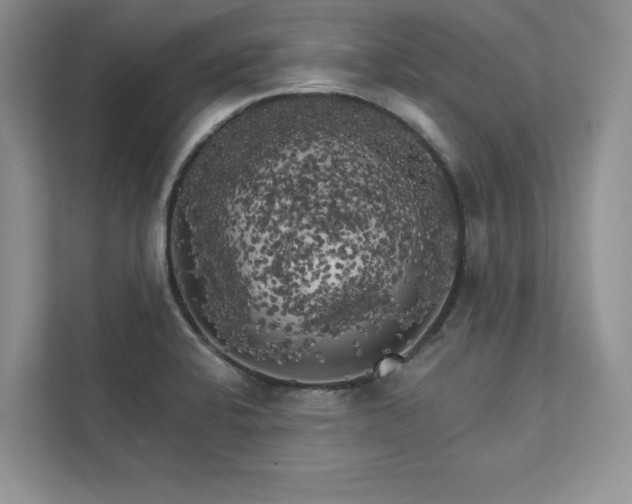 X0000111511424200907211154