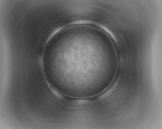 X0000111511425200907211154